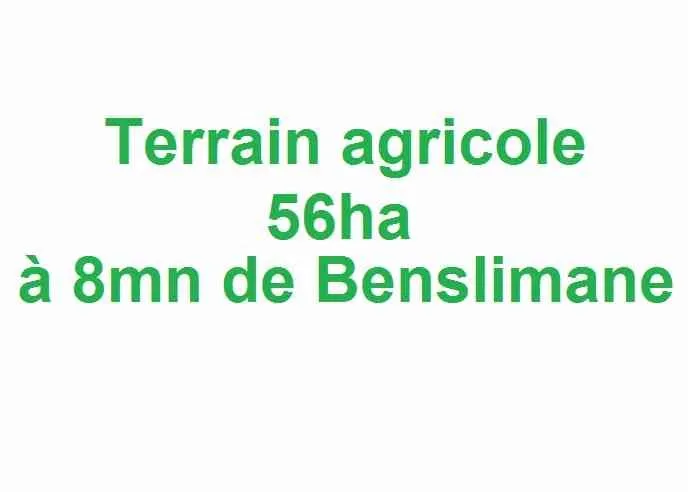 Terrain agricole 56ha a 8mn de Bensliman - بن سليمان