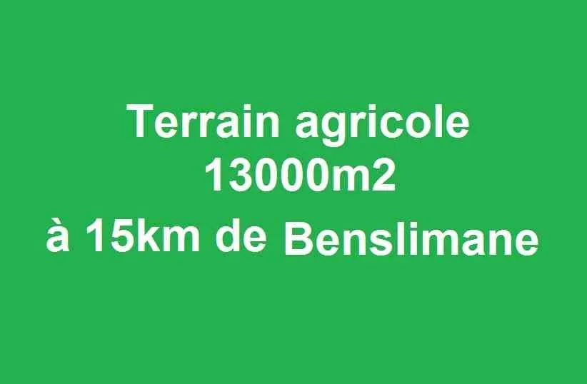 Terrain agricole 13000m2 à Benslimane - بن سليمان