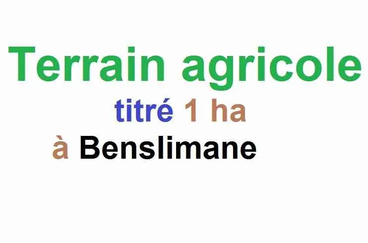 Terrain agricole titré 1ha sur Bensliman - بن سليمان
