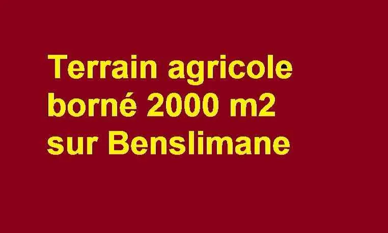 Terrain agricole borné 2000 m  Bensliman - بن سليمان