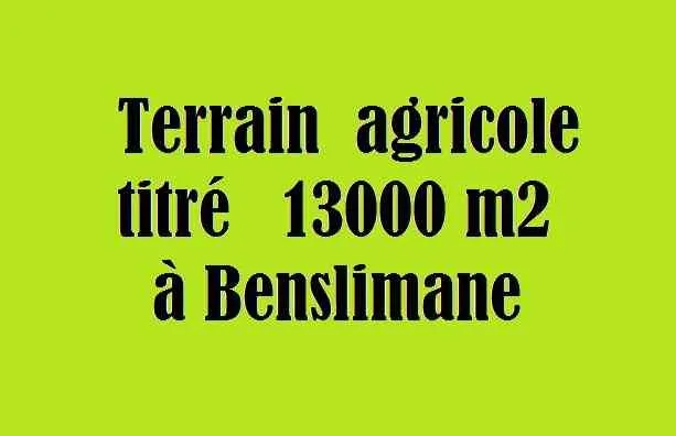 Terrain agrle titré13000m2 à Benslimane - بن سليمان