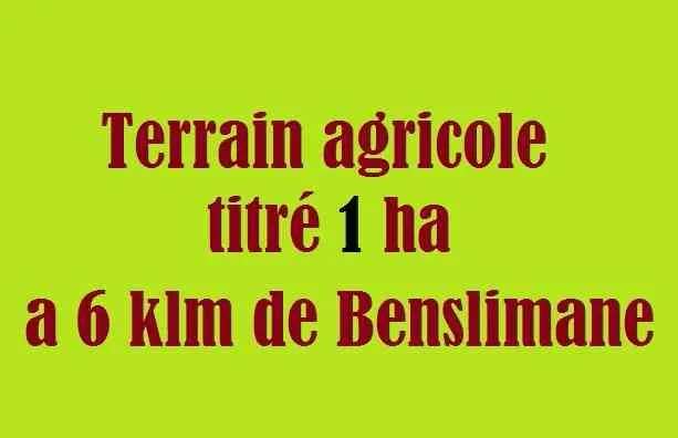 Terrain agricole titré 1ha à Benslimane - بن سليمان