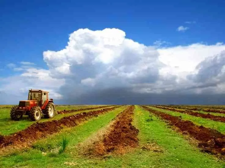 Terrain agricole titré 1ha à Benslimane - بن سليمان