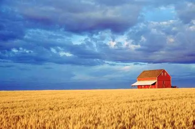 Ferme agricole titrée 7ha sur Benslimane - بن سليمان