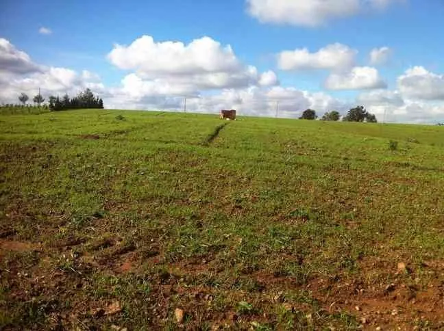 Terrain agricole titré 1ha à Benslimane - بن سليمان