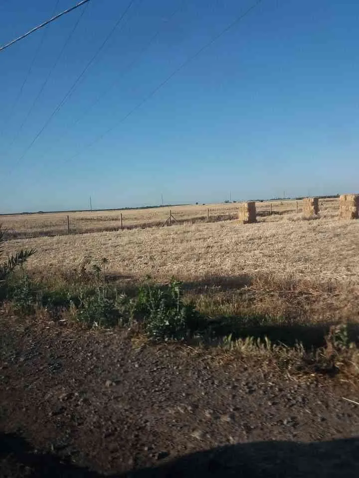ferme a vendre - مديونة (4)