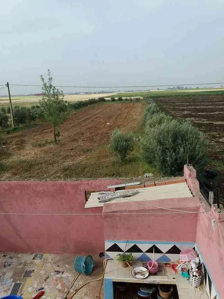 terrain pour agricole a vendre - برشيد