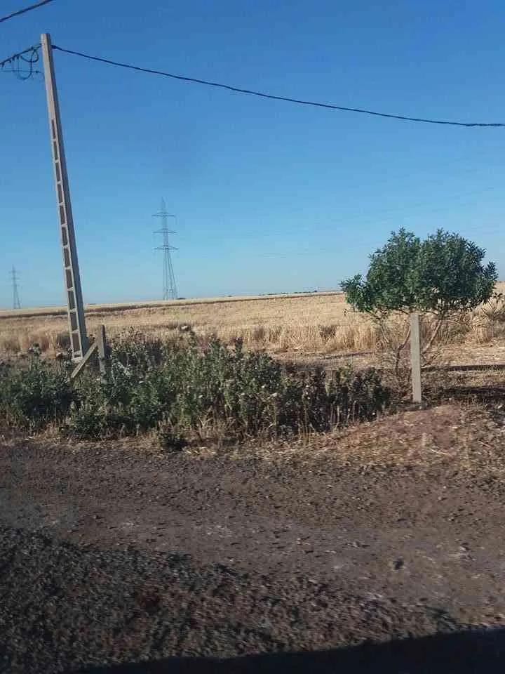 terrain a vendre - مديونة (3)