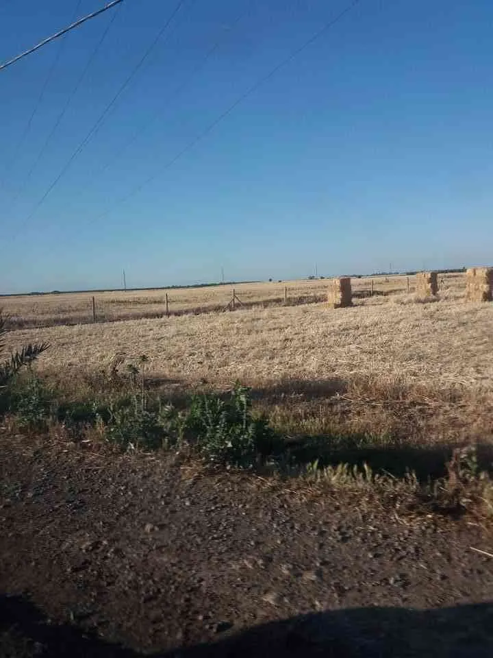 terrain a vendre - مديونة (2)