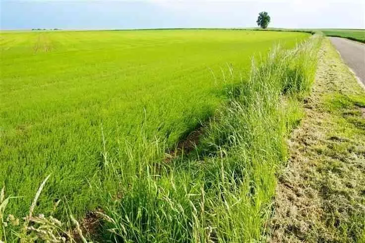 A vendre ferme de  2500m2 a Tiflt - tifelt