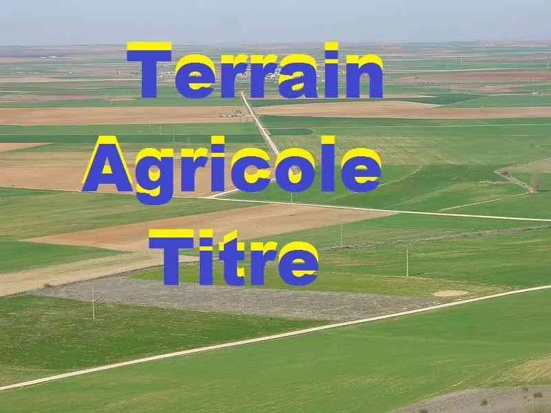 terrain de 1 hectare et 5000m a tiflet - tifelt