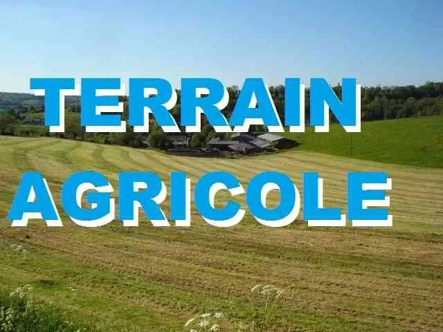 Ferme de 1 hectare et 3800m2 a tiflet - tifelt