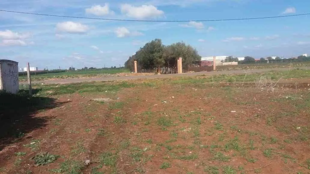 ارض فلاحية للبيع في البير الجديد مرخصة لبناء فيلا وبءر - bir-jdid