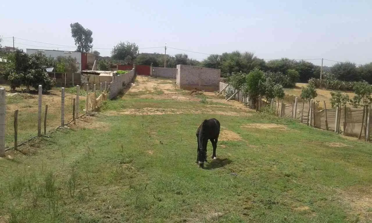 Terrain de 3000 m² à Ain Sbaa Kénitra - القنيطرة (3)