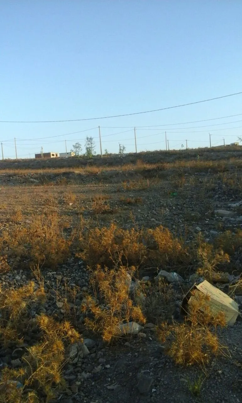 terrain à vendre - الرباط