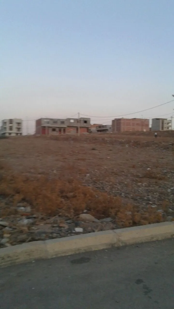 terrain commercial à vendre - تاوريرت