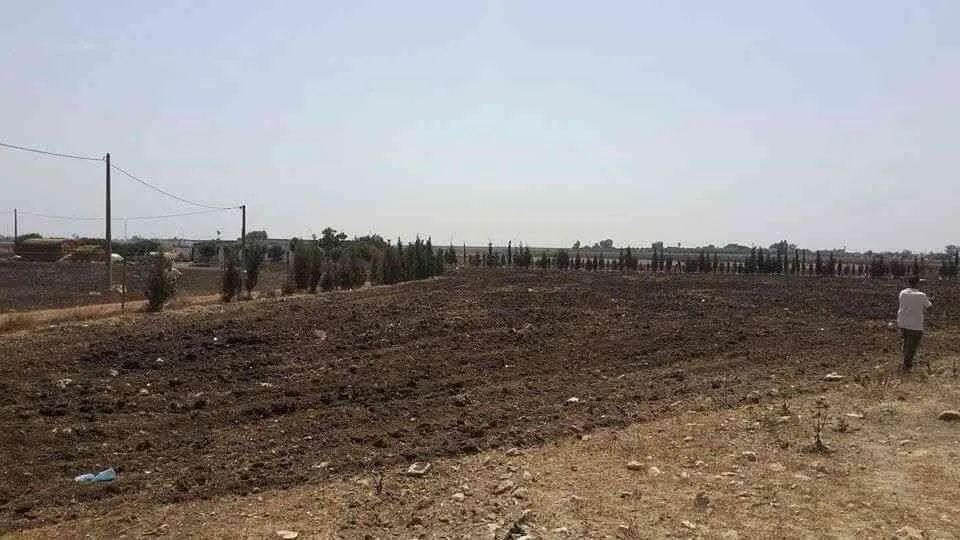 Terrain 1.3ha pour  depots ... - الدار البيضاء (2)