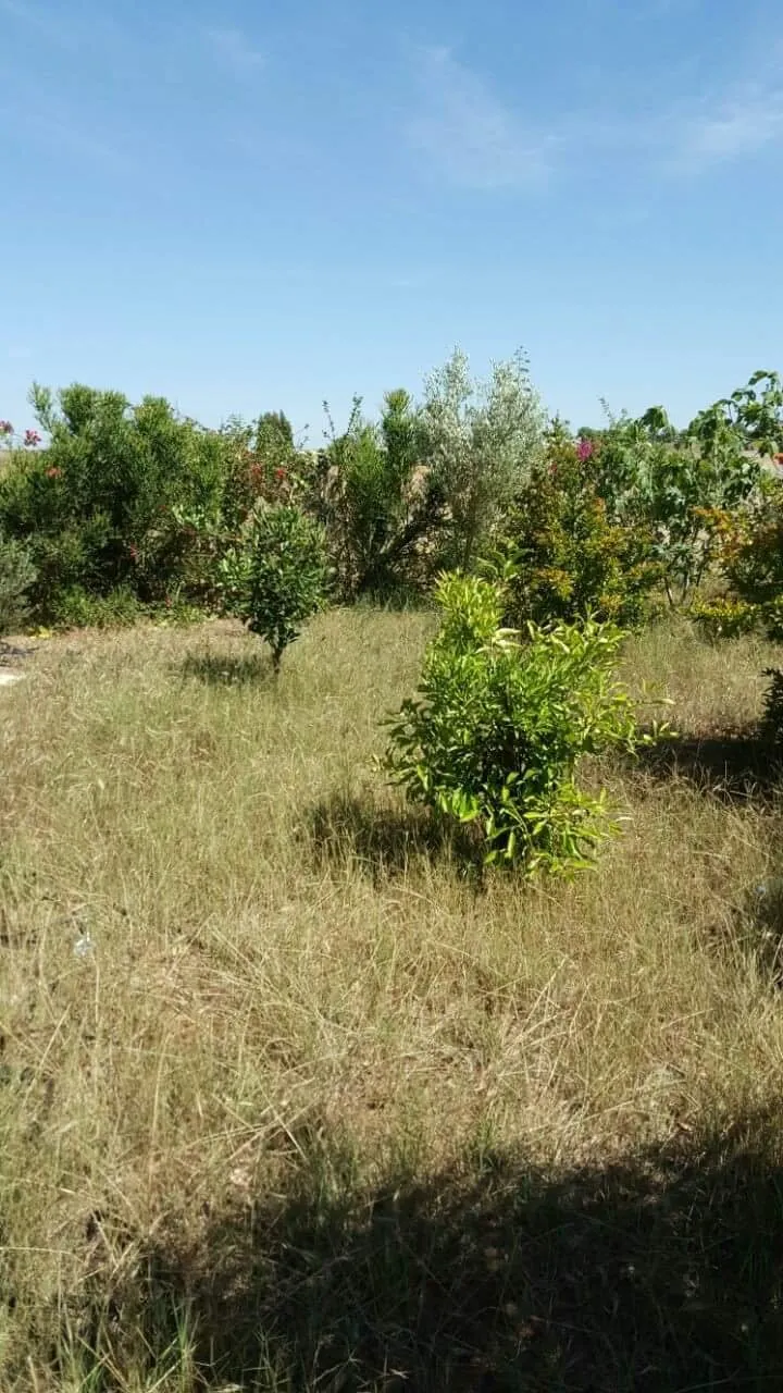 terrain titré a gzenaya bien centré - طنجة