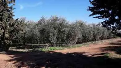 ضيعة للبيع نواحي مديونة على اتجاه اولاد زيان - الدار البيضاء (3)