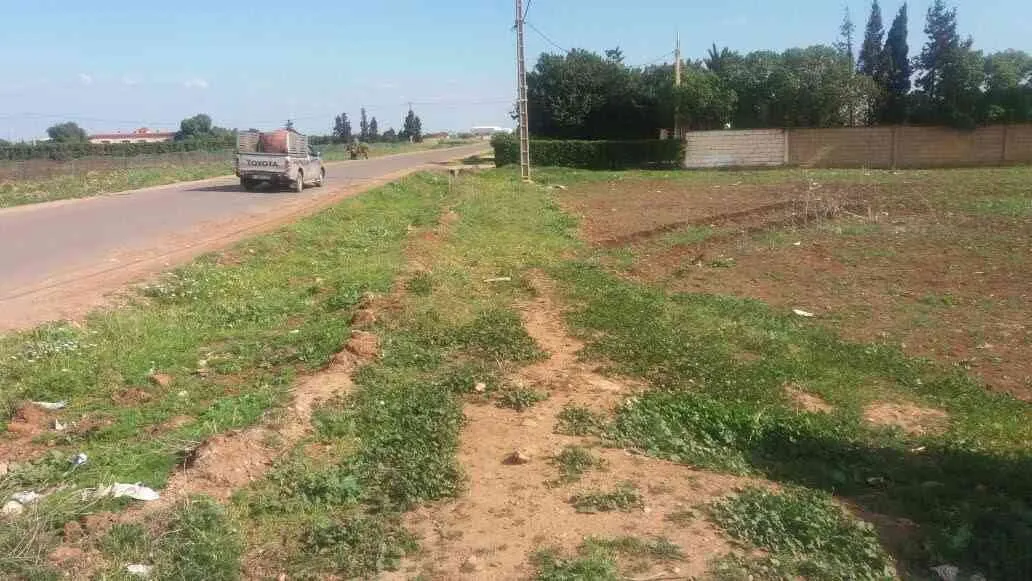 ارض للبيع على طريق مراكش لخميس سيدي محمد بن رحال - سطات (3)
