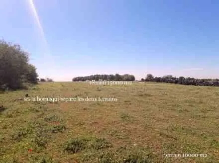 Superbe terrain en bord de route - الوليدية (2)