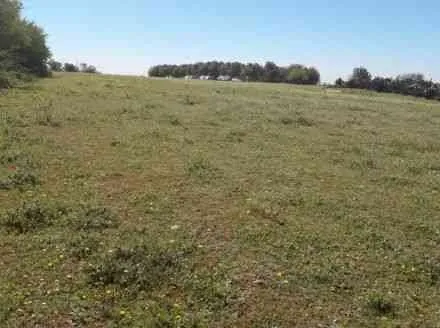 Superbe terrain en bord de route - الوليدية