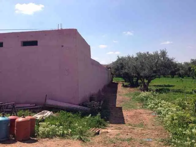 Ferme de 5ha à Marrakech - مراكش (2)