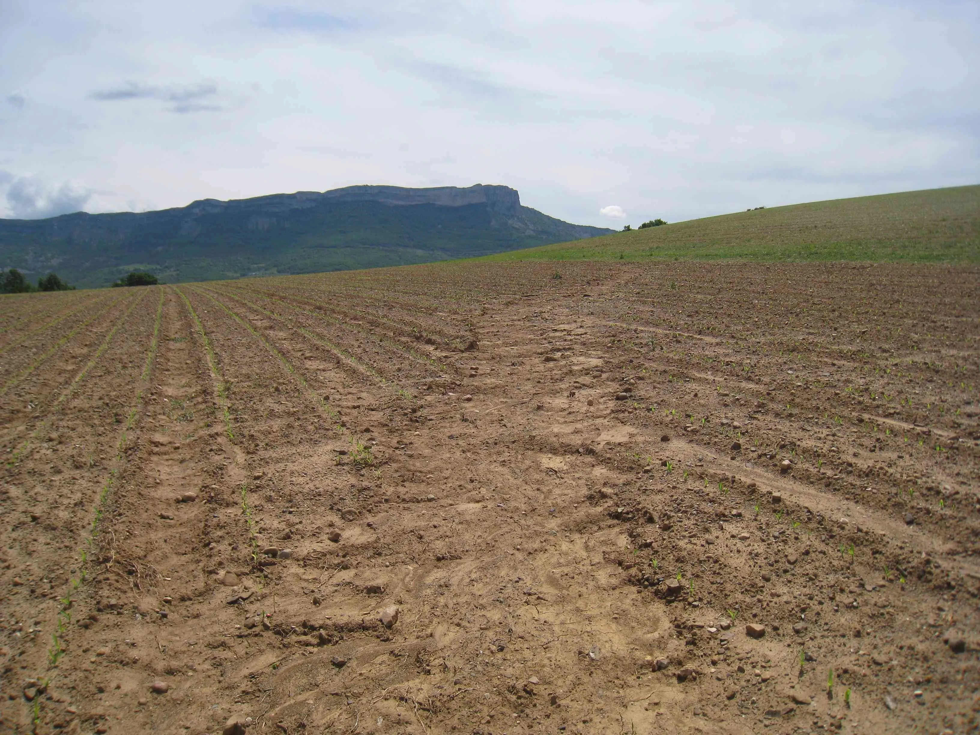 Terrain agricole à tata akka 41 hectare - أكادير