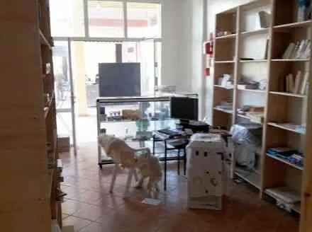 Local de 53 m2 - سلا (4)