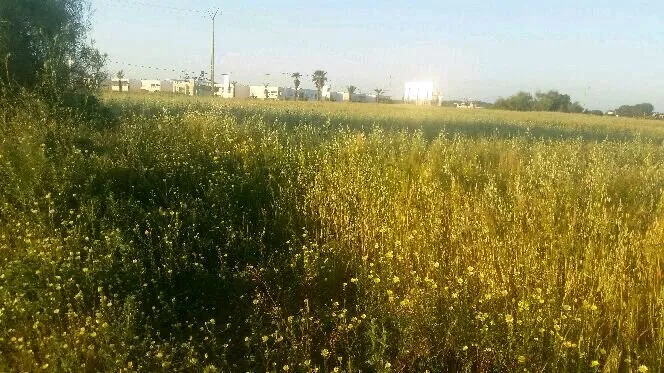 بقعة أرضية محفظة - سيدي رحال