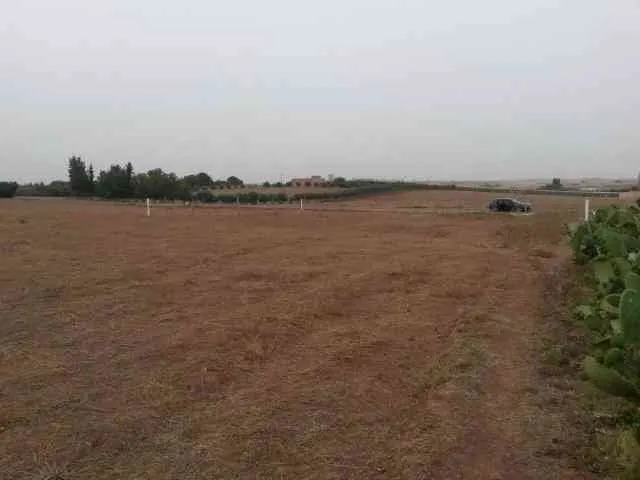 Terrain de 1.5 hectares à Tifelt - tifelt