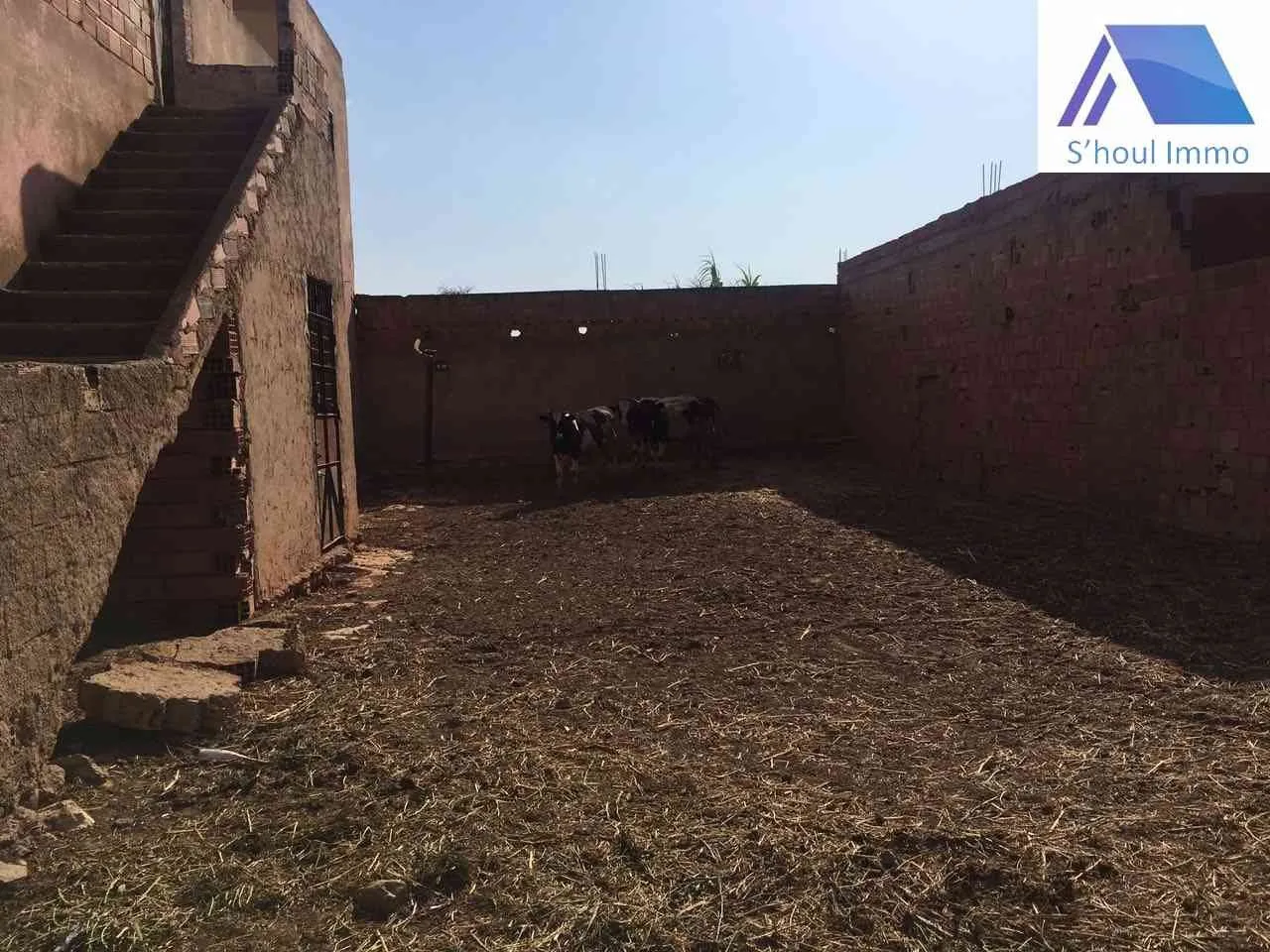 ferme équipée à vendre - طنجة (2)