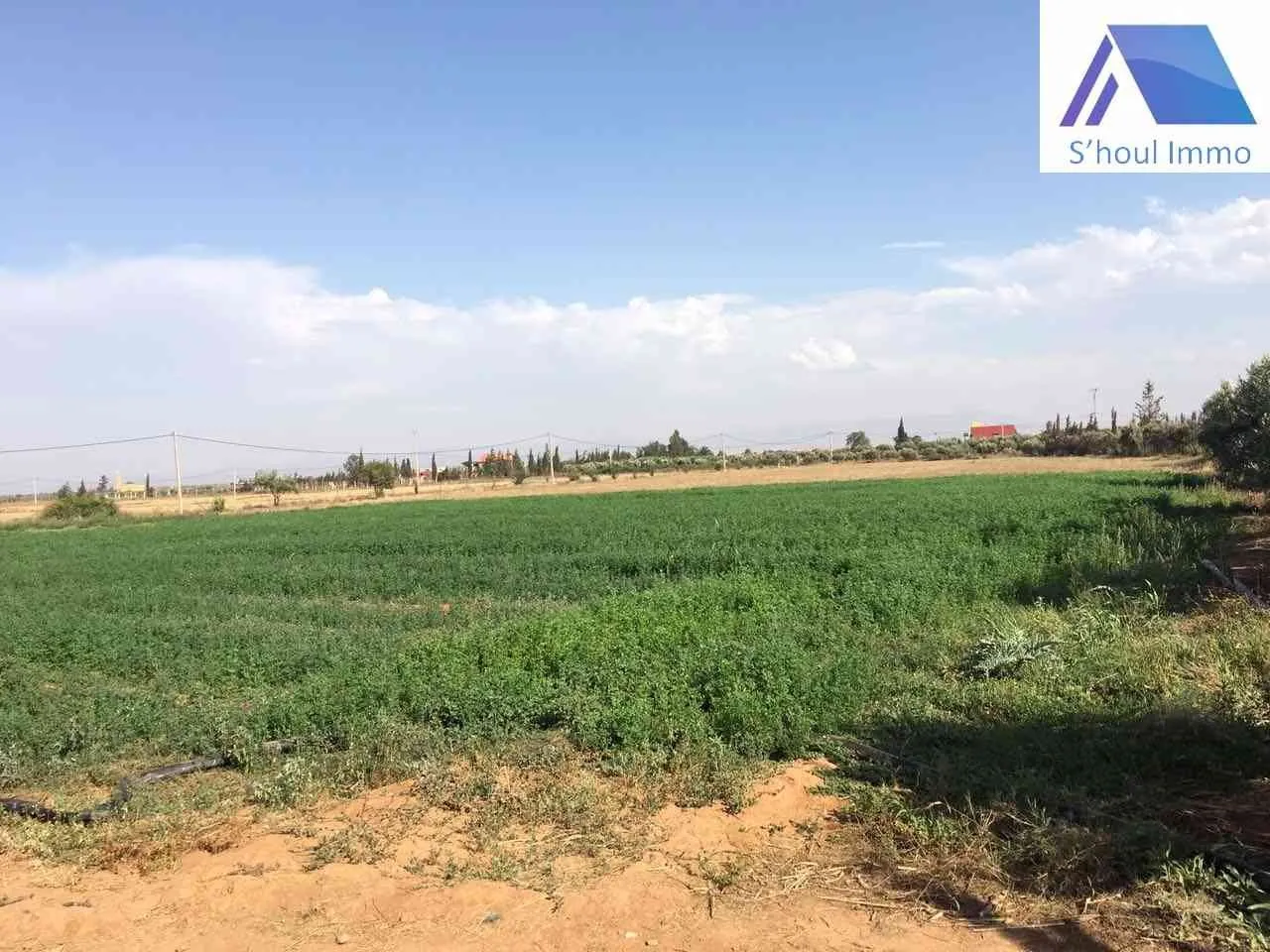 ferme équipée à vendre - طنجة