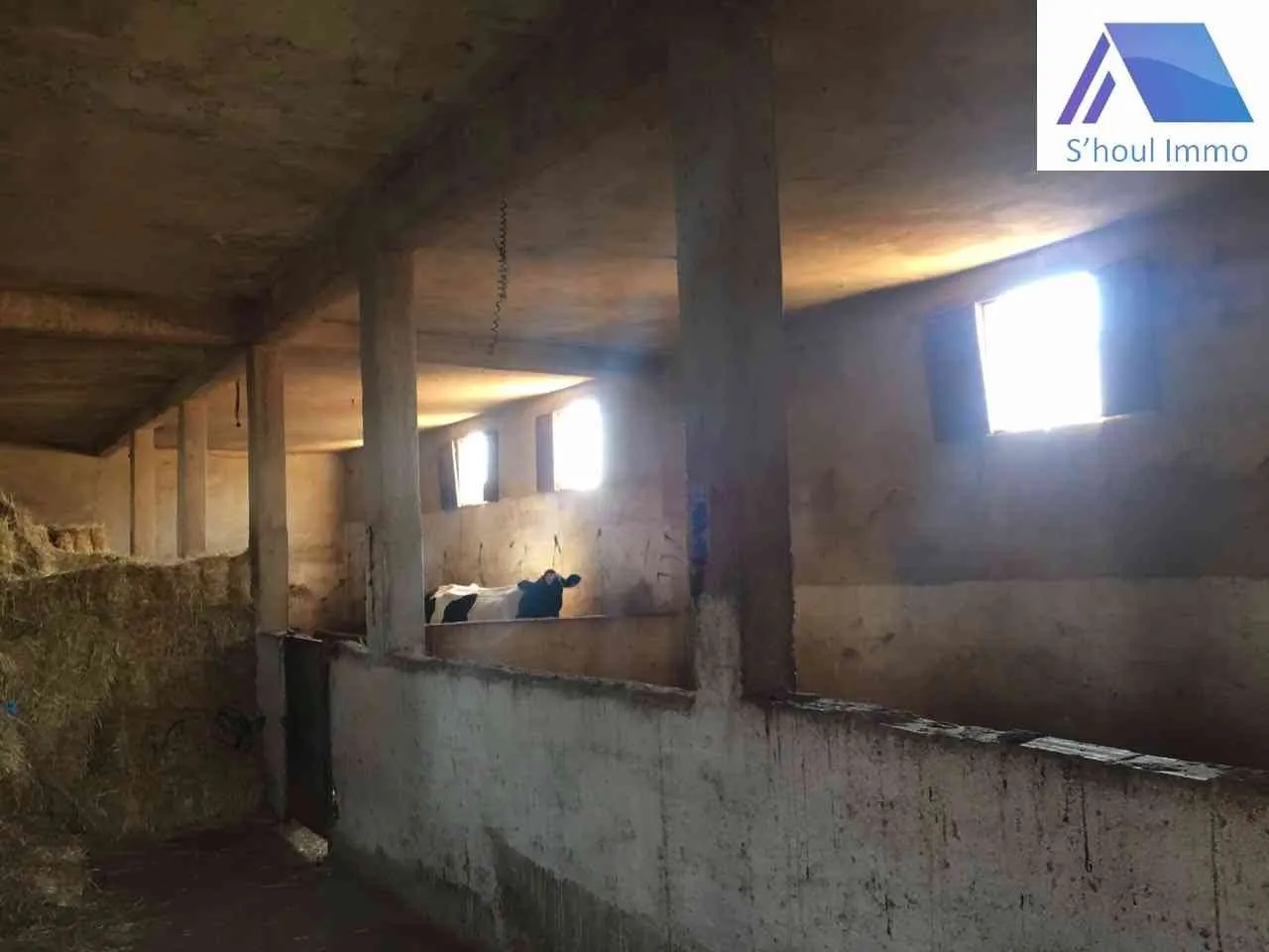 ferme équipée à vendre - طنجة (3)