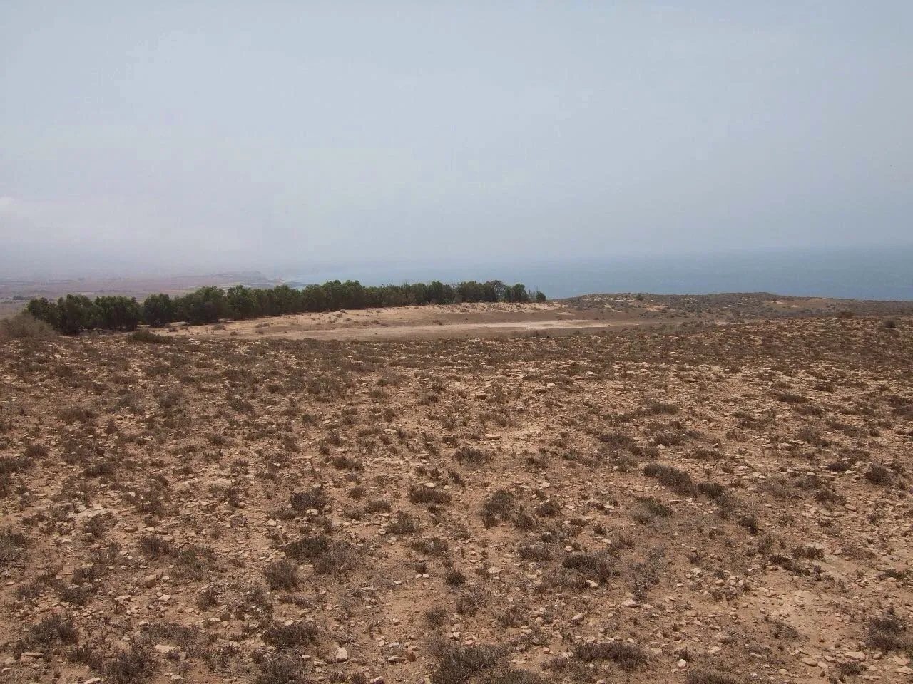 terrain commercial à vendre - وجدة