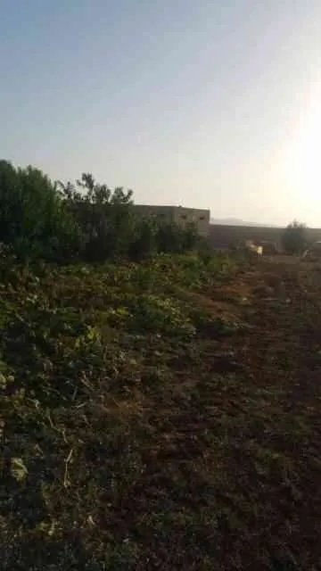 Ferme a vendre - فاس (3)