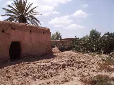A Vendre Terrain Titré à taroudant - تارودانت (2)