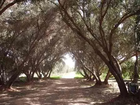 Exploitation à taroudant à Vendre - تارودانت (2)