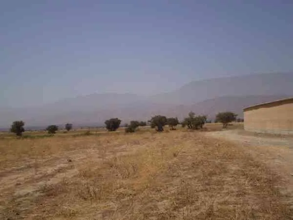 Tearrain 2 hectares à 7 km de Taroudant - تارودانت