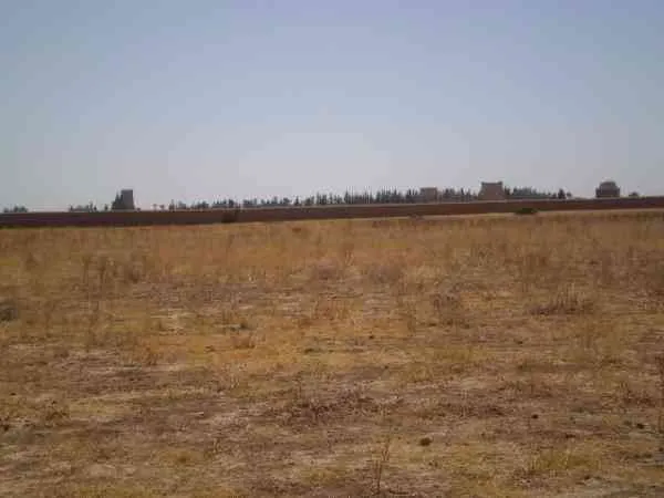 Tearrain 2 hectares à 7 km de Taroudant - تارودانت (2)