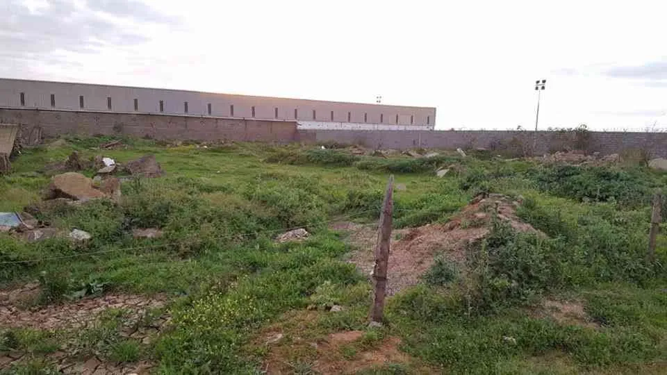 Un terrain pour un entrepôt de 5000 m² à AL A - القنيطرة (4)