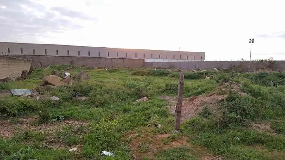 Un terrain pour un entrepôt de 5000 m² à AL A - القنيطرة (2)