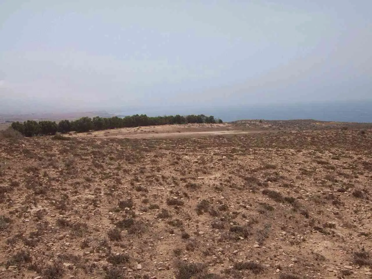 Terrain à vendre - طنجة
