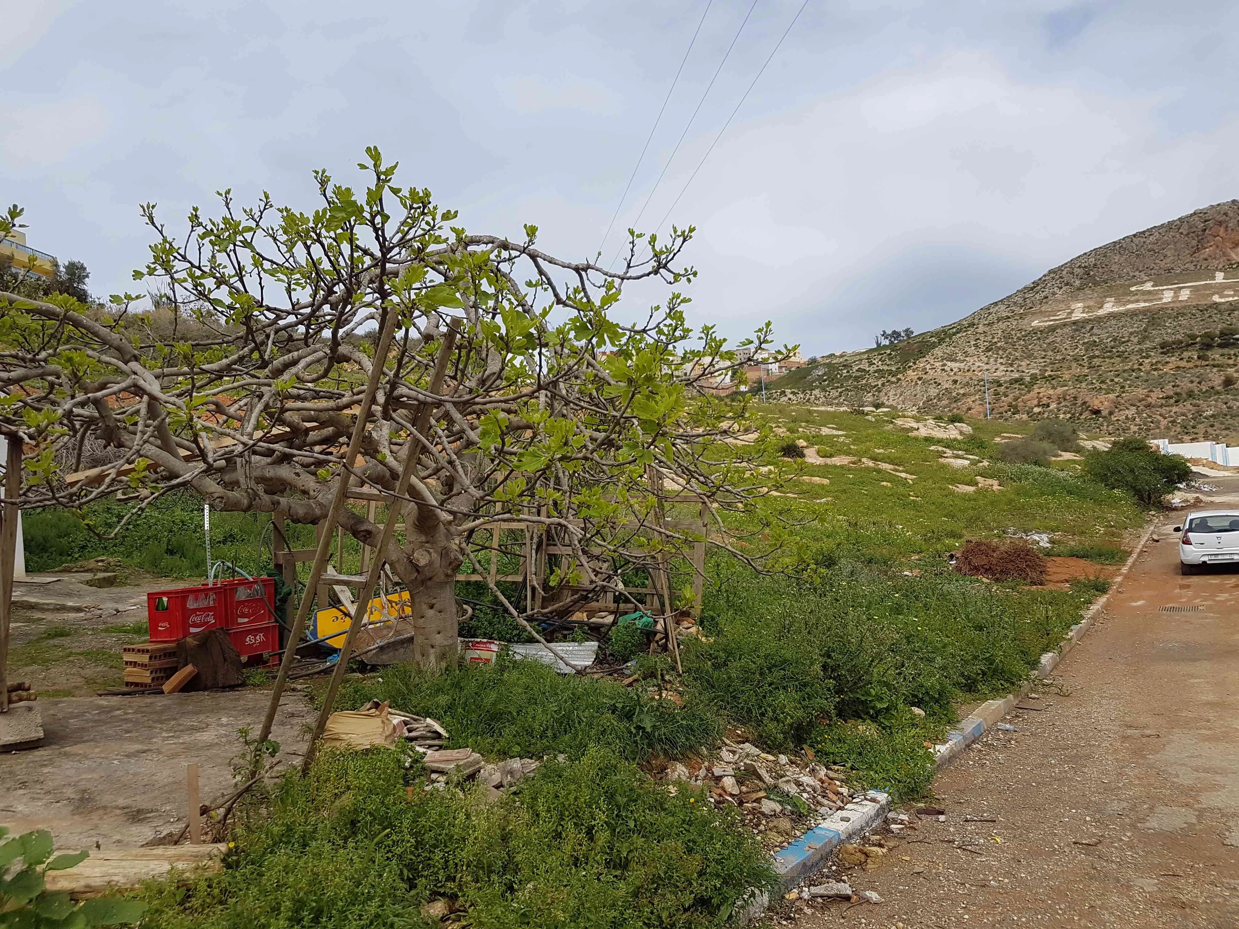 Local commercial à vendre EL HOUCEIMA - الحسيمة