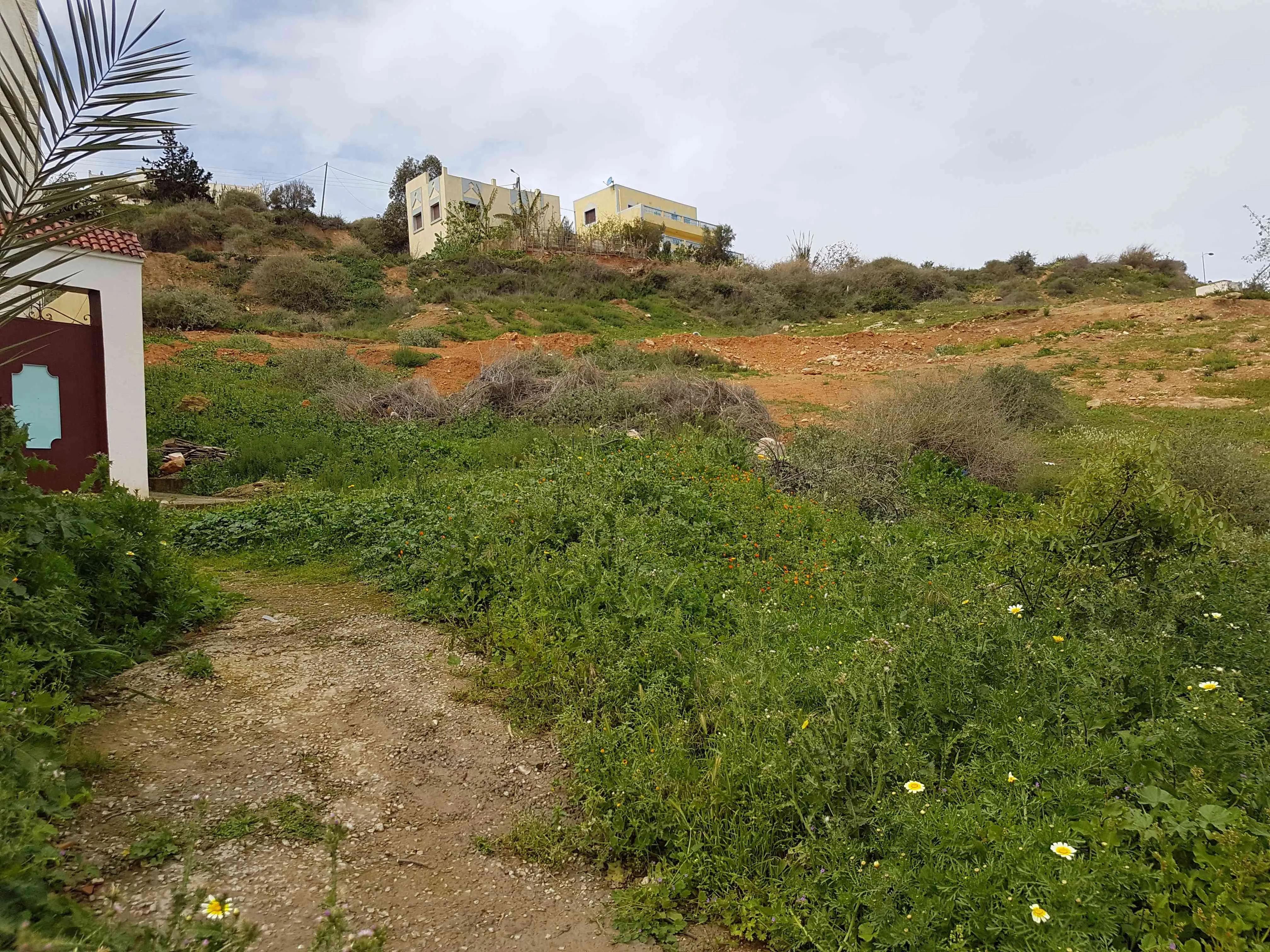 Local commercial à vendre EL HOUCEIMA - الحسيمة (4)