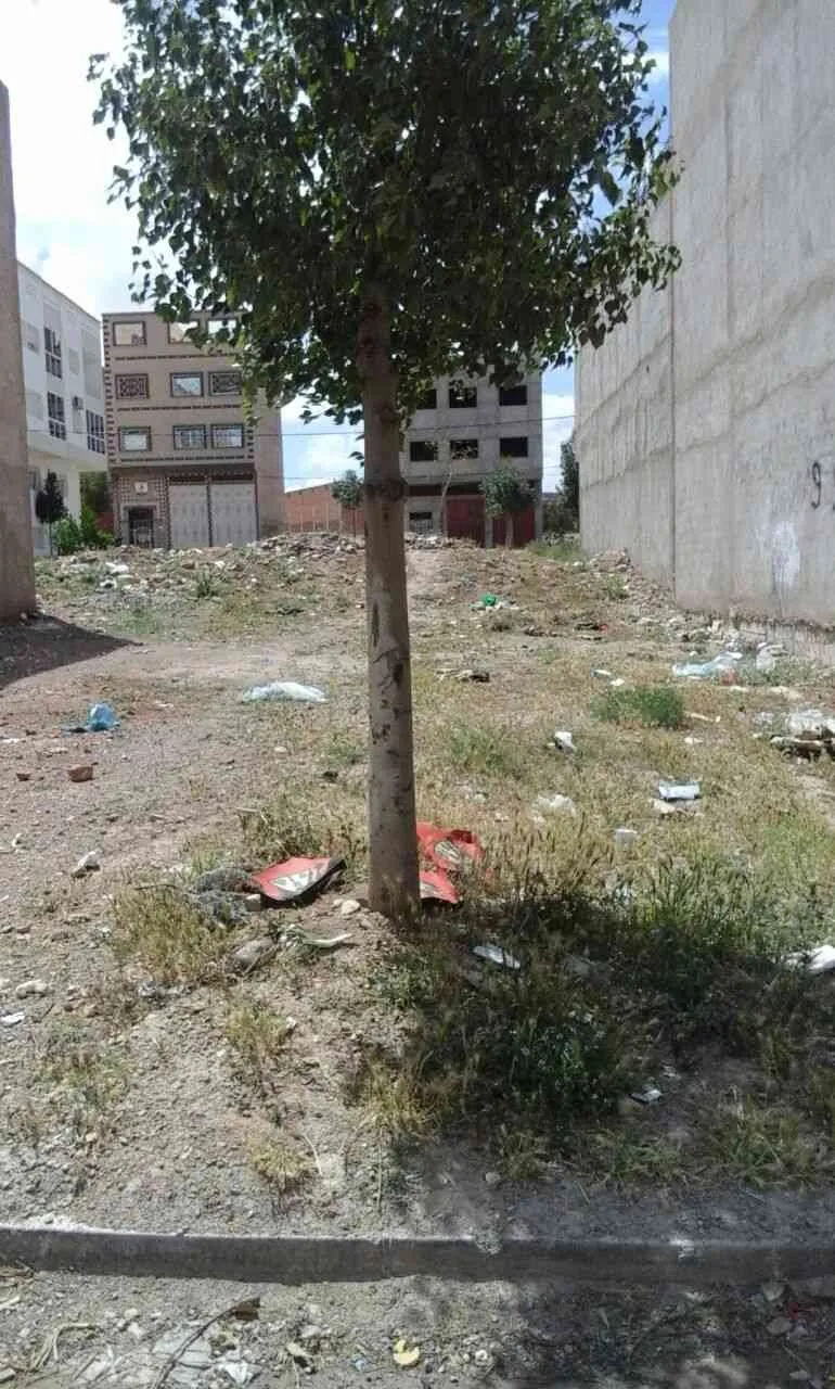 Terrain à vendre - طنجة