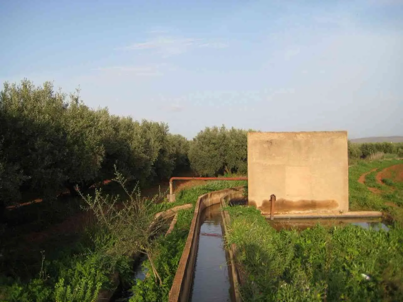 Ferme bien équipée - طنجة
