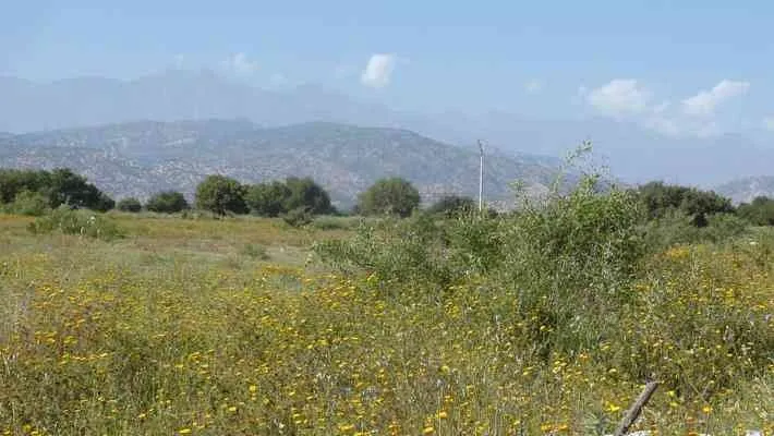 Terrain  2hectares  à vendre à Taroudant - تارودانت (3)