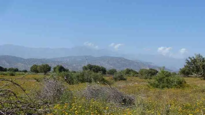 Terrain  2hectares  à vendre à Taroudant - تارودانت (2)