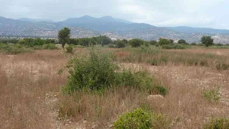8500 m2 titré à 30 Km de Taroudante - تارودانت